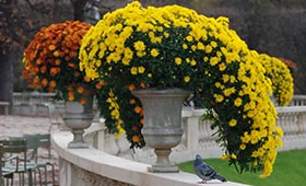 dsc 0008 4