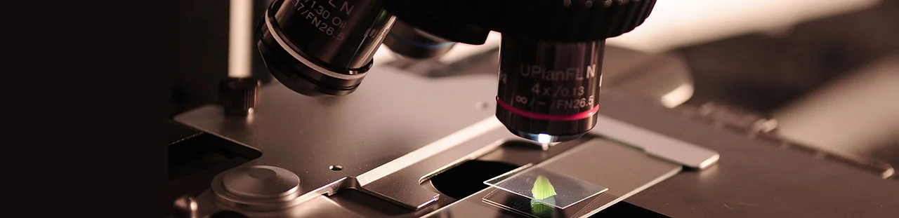 microscope