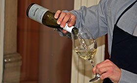 wine 20